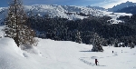 /Ski/2013/Images/1906/P1120189 StitchIcon.JPG